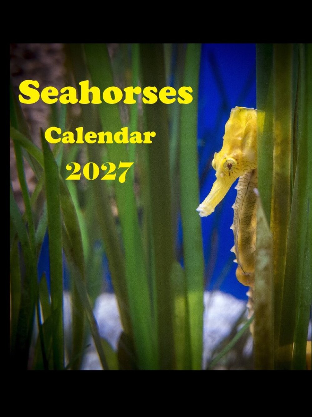 2027 Seahorse Calendar Ocean Marine Life Photography Coastal Decor Wall Calendar